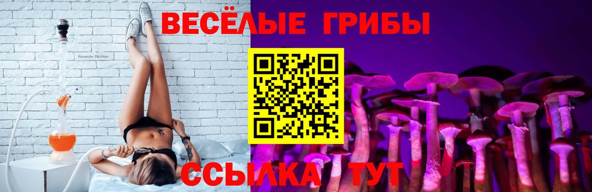 Псилоцибиновые грибы Magic Shrooms Всеволожск
