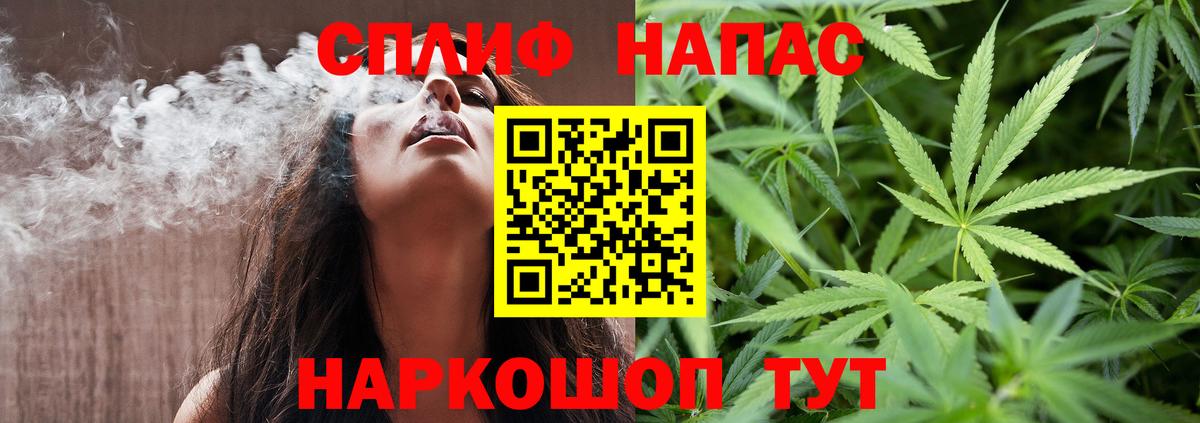 Каннабис сатива Всеволожск